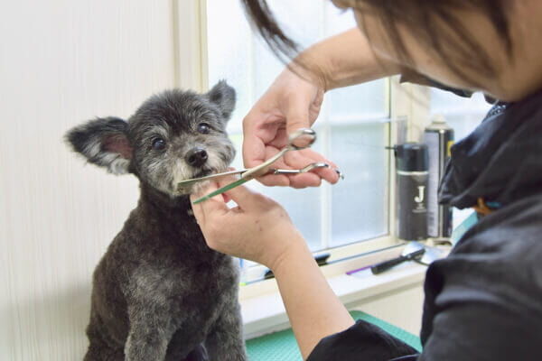お悩みに幅広く対応いたしますので些細な事でもご相談ください